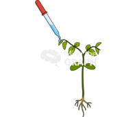 Nanoparticle plants Icons, Symbols, Pictures, and Images